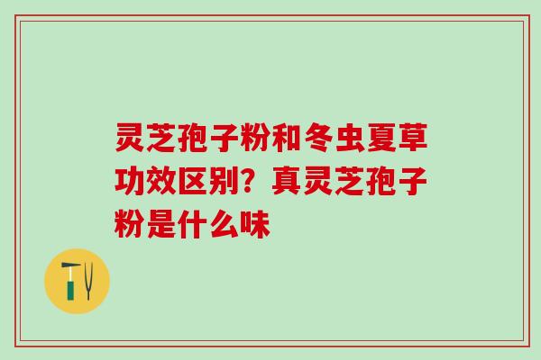 灵芝孢子粉和冬虫夏草功效区别？真灵芝孢子粉是什么味