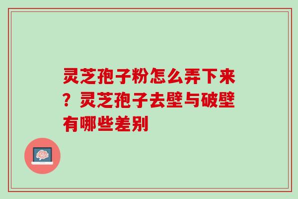 灵芝孢子粉怎么弄下来？灵芝孢子去壁与破壁有哪些差别