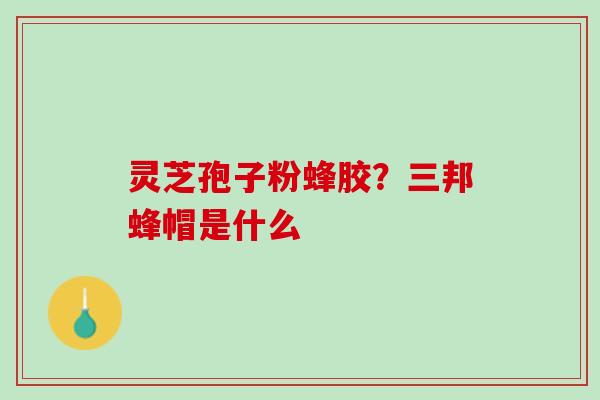 灵芝孢子粉蜂胶?三邦蜂帽是什么 灵芝孢子粉蜂胶?三邦蜂帽是什么