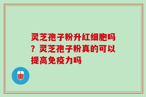 灵芝孢子粉升红细胞吗？灵芝孢子粉真的可以提高免疫力吗