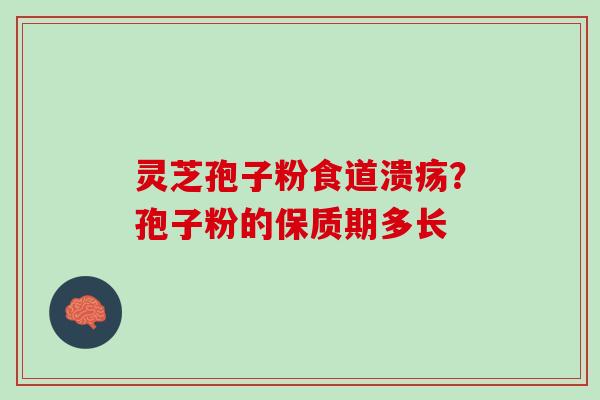 灵芝孢子粉食道溃疡？孢子粉的保质期多长