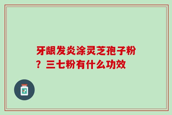 牙龈发炎涂灵芝孢子粉？三七粉有什么功效