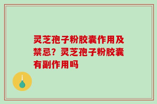 灵芝孢子粉胶囊作用及禁忌？灵芝孢子粉胶囊有副作用吗