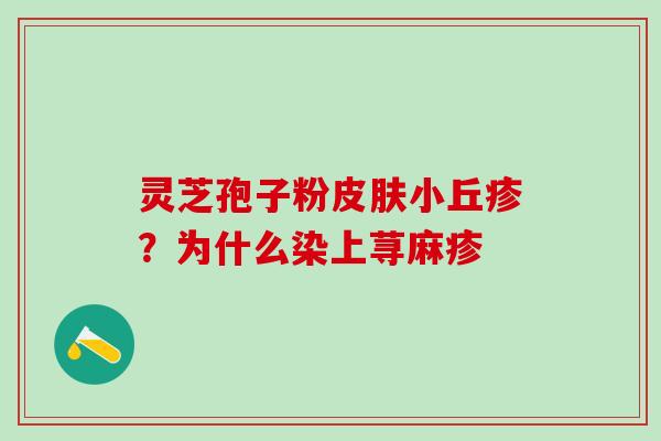 灵芝孢子粉皮肤小丘疹？为什么染上荨麻疹