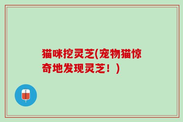 猫咪挖灵芝(宠物猫惊奇地发现灵芝！)