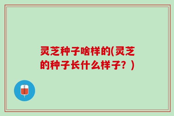 灵芝种子啥样的(灵芝的种子长什么样子？)