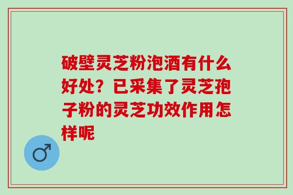 破壁灵芝粉泡酒有什么好处？已采集了灵芝孢子粉的灵芝功效作用怎样呢