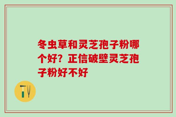 冬虫草和灵芝孢子粉哪个好？正信破壁灵芝孢子粉好不好