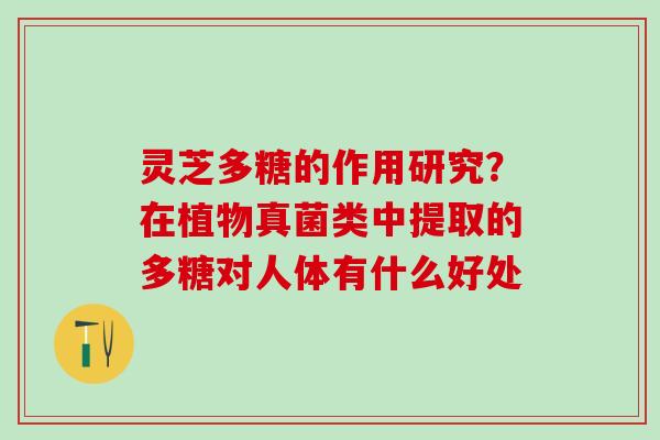 灵芝多糖的作用研究?在植物真菌类中提取的多糖对人体有什么好处 灵芝多糖的作用研究?在植物真菌类中提取的多糖对人体有什么好处