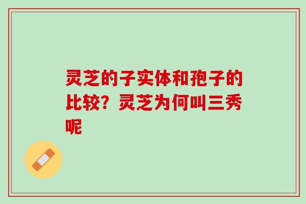 灵芝的子实体和孢子的比较?灵芝为何叫三秀呢 灵芝的子实体和孢子的比较?灵芝为何叫三秀呢
