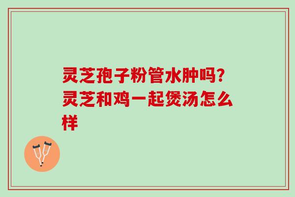 灵芝孢子粉管水肿吗?灵芝和鸡一起煲汤怎么样 灵芝孢子粉管水肿吗?灵芝和鸡一起煲汤怎么样