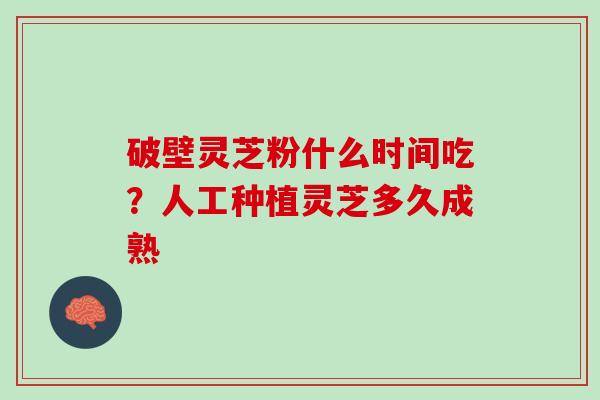 破壁灵芝粉什么时间吃？人工种植灵芝多久成熟