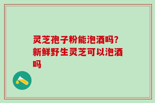 灵芝孢子粉能泡酒吗？新鲜野生灵芝可以泡酒吗