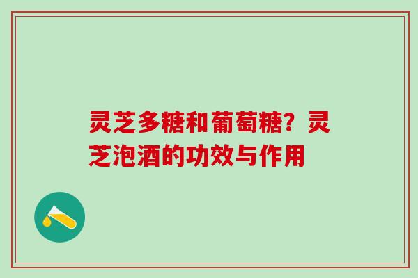 灵芝多糖和葡萄糖？灵芝泡酒的功效与作用