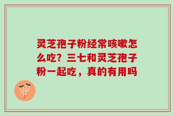灵芝孢子粉经常咳嗽怎么吃？三七和灵芝孢子粉一起吃，真的有用吗