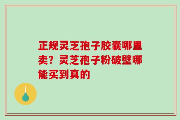 正规灵芝孢子胶囊哪里卖?灵芝孢子粉破壁哪能买到真的 正规灵芝孢子胶囊哪里卖?灵芝孢子粉破壁哪能买到真的