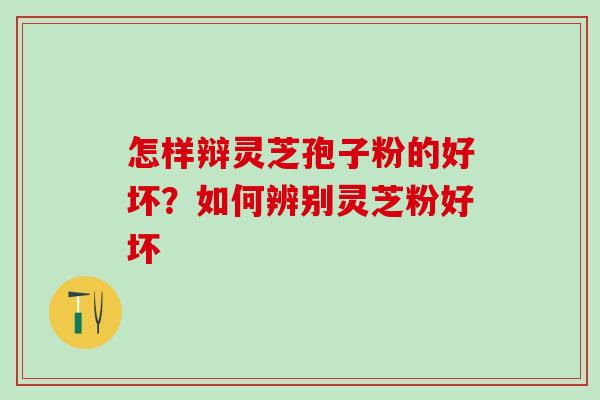 怎样辩灵芝孢子粉的好坏？如何辨别灵芝粉好坏