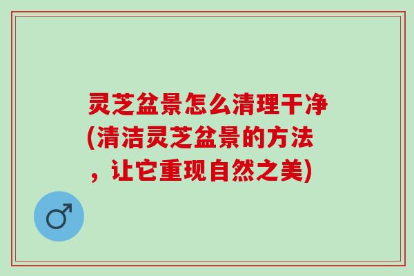 灵芝盆景怎么清理干净(清洁灵芝盆景的方法，让它重现自然之美)