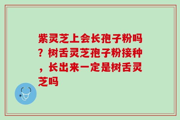 紫灵芝上会长孢子粉吗？树舌灵芝孢子粉接种，长出来一定是树舌灵芝吗