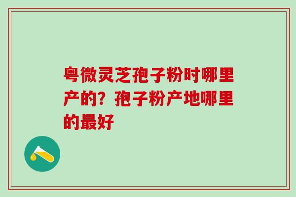 粤微灵芝孢子粉时哪里产的？孢子粉产地哪里的最好