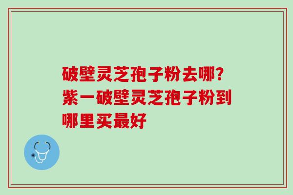 破壁灵芝孢子粉去哪?紫一破壁灵芝孢子粉到哪里买好 破壁灵芝孢子粉去哪?紫一破壁灵芝孢子粉到哪里买好