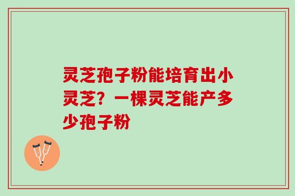 灵芝孢子粉能培育出小灵芝？一棵灵芝能产多少孢子粉