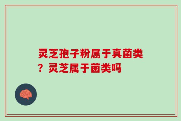 灵芝孢子粉属于真菌类？灵芝属于菌类吗