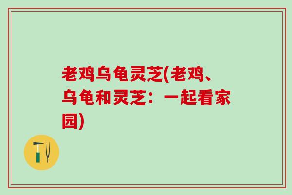 老鸡乌龟灵芝(老鸡、乌龟和灵芝：一起看家园)