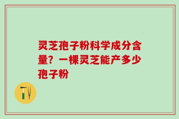 灵芝孢子粉科学成分含量？一棵灵芝能产多少孢子粉
