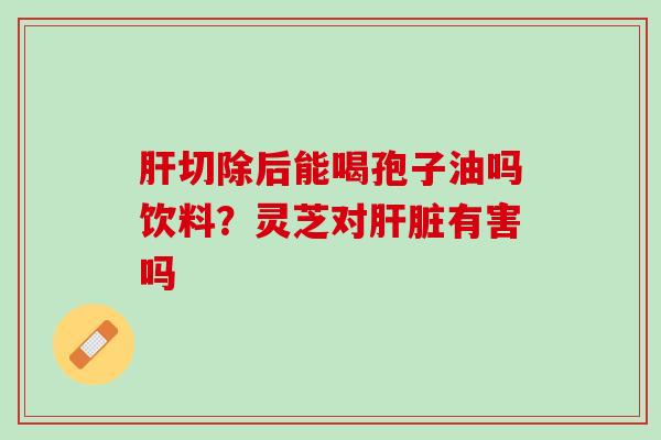 肝切除后能喝孢子油吗饮料？灵芝对肝脏有害吗