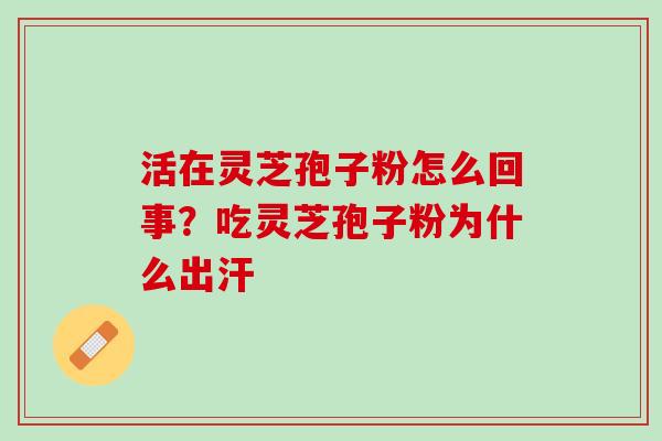 活在灵芝孢子粉怎么回事？吃灵芝孢子粉为什么出汗