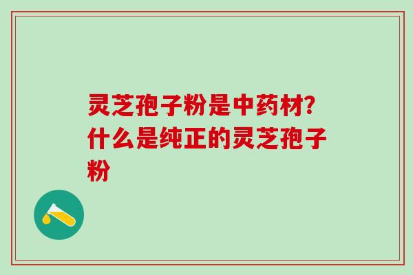 灵芝孢子粉是中药材？什么是纯正的灵芝孢子粉