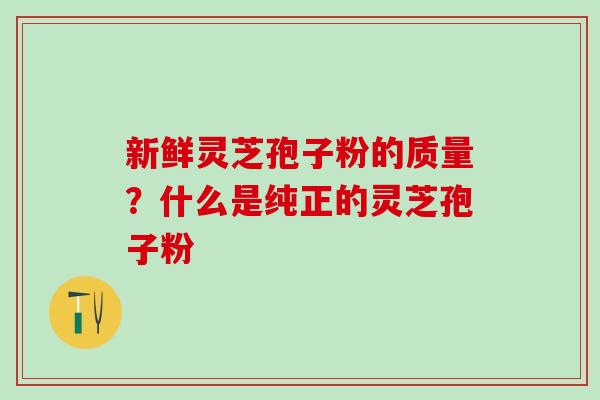 新鲜灵芝孢子粉的质量？什么是纯正的灵芝孢子粉