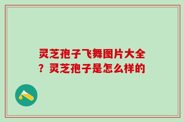 灵芝孢子飞舞图片大全？灵芝孢子是怎么样的