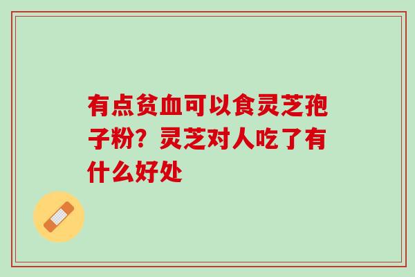 有点贫血可以食灵芝孢子粉？灵芝对人吃了有什么好处
