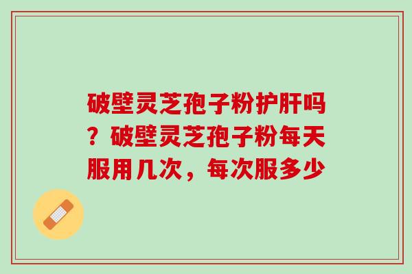 破壁灵芝孢子粉护肝吗？破壁灵芝孢子粉每天服用几次，每次服多少
