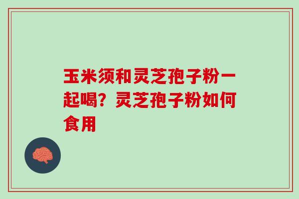 玉米须和灵芝孢子粉一起喝？灵芝孢子粉如何食用