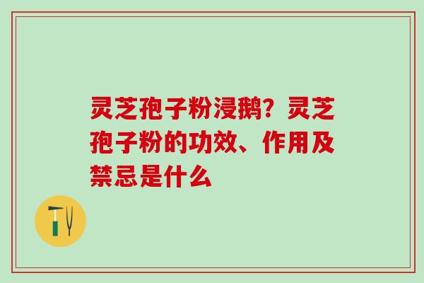 灵芝孢子粉浸鹅?灵芝孢子粉的功效、作用及禁忌是什么 灵芝孢子粉浸鹅?灵芝孢子粉的功效、作用及禁忌是什么