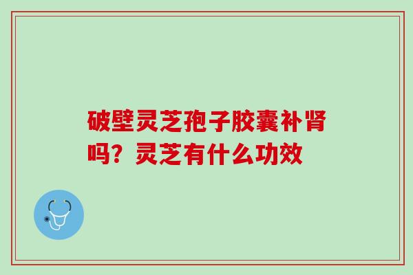 破壁灵芝孢子胶囊补肾吗？灵芝有什么功效