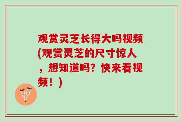 观赏灵芝长得大吗视频(观赏灵芝的尺寸惊人，想知道吗？快来看视频！)