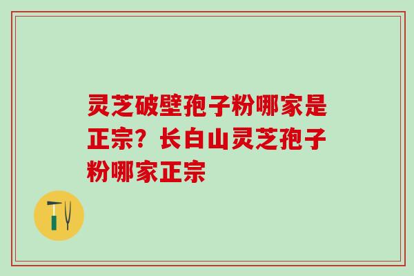 灵芝破壁孢子粉哪家是正宗？长白山灵芝孢子粉哪家正宗