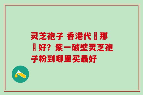 灵芝孢子 香港代購那個好?紫一破壁灵芝孢子粉到哪里买好 灵芝孢子 香港代購那個好?紫一破壁灵芝孢子粉到哪里买好