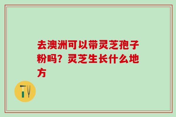 去澳洲可以带灵芝孢子粉吗？灵芝生长什么地方