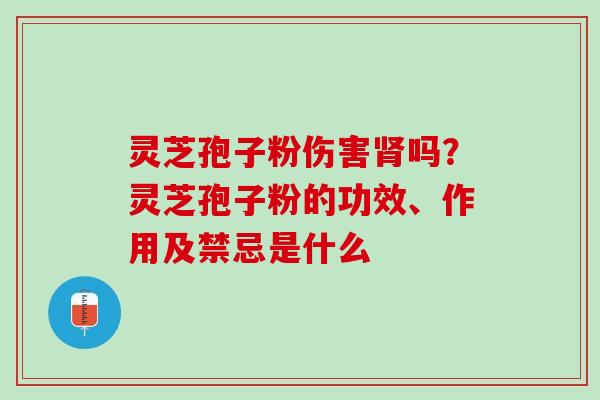 灵芝孢子粉伤害肾吗？灵芝孢子粉的功效、作用及禁忌是什么