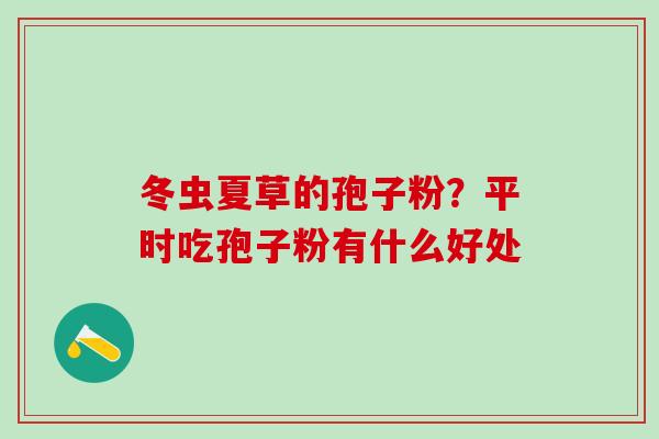 冬虫夏草的孢子粉？平时吃孢子粉有什么好处