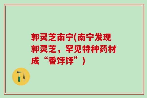 郭灵芝南宁(南宁发现郭灵芝，罕见特种药材成“香饽饽”)