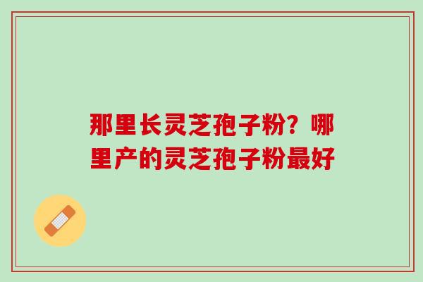 那里长灵芝孢子粉？哪里产的灵芝孢子粉好
