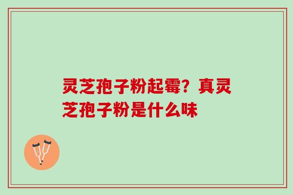 灵芝孢子粉起霉？真灵芝孢子粉是什么味