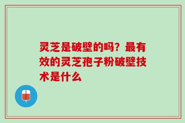 灵芝是破壁的吗？最有效的灵芝孢子粉破壁技术是什么
