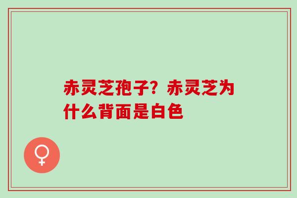 赤灵芝孢子？赤灵芝为什么背面是白色